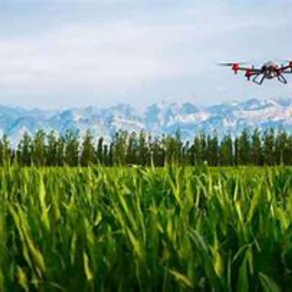 Camera mount carbon fiber frame section